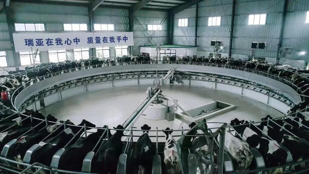 花花牛丨駐馬店市遂平縣政協(xié)黨組書記、主席張衛(wèi)東一行蒞臨花花牛魯山瑞亞牧場參觀 花花牛丨駐馬店市遂平縣政協(xié)黨組書記、主席張衛(wèi)東一行蒞臨花花牛魯山瑞亞牧場參觀