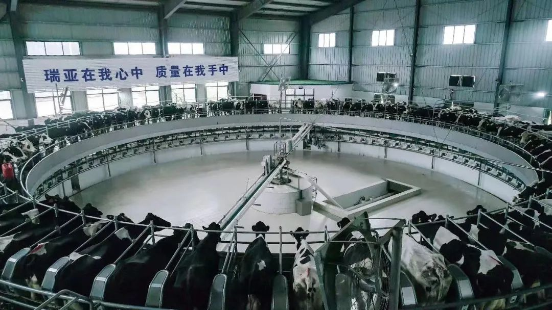 喜訊 | 花花牛一座自有牧場入選河南省“DHI測定優秀牧場” 喜訊 | 花花牛一座自有牧場入選河南省“DHI測定優秀牧場”