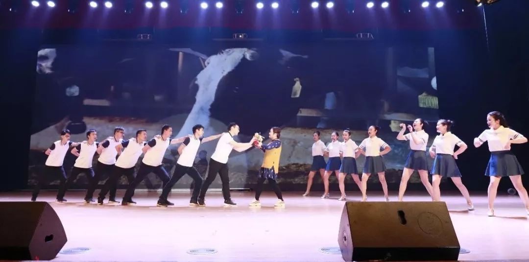 “贏在2019”,花花牛乳業集團2019年新春晚會盛大開幕 “贏在2019”,花花牛乳業集團2019年新春晚會盛大開幕