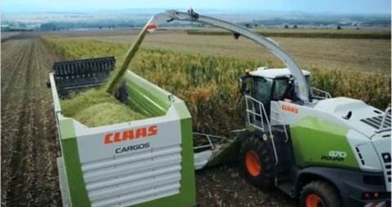 河南花花牛乳業集團股份有限公司 2020年玉米青貯采購信息